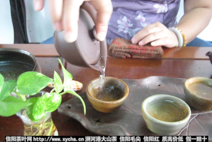 2011年明前碧螺春明前茶