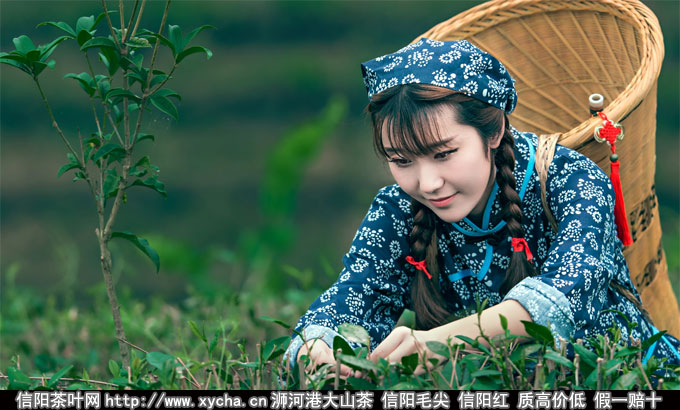 碧螺春什么形状的茶好读碧螺春女儿茶图片