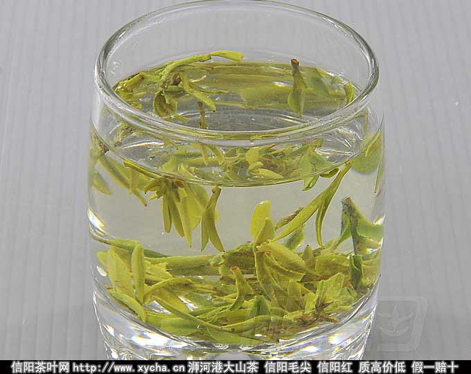 六安瓜片茶汤