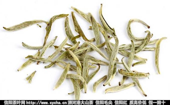 白毫银针原产地