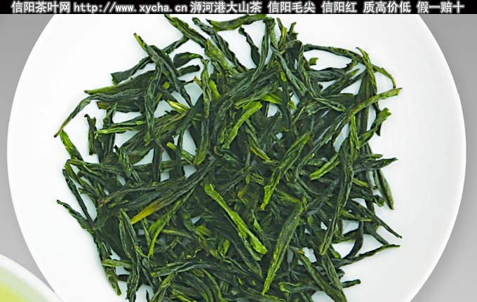 六安瓜片图片资料