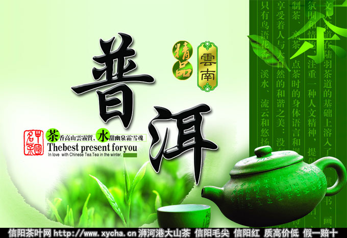 哪些人不能喝普洱茶